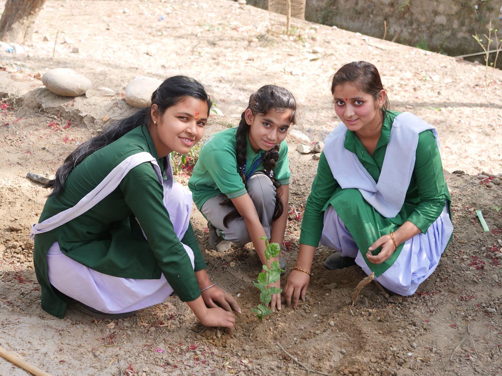 Indian girl planting trees2