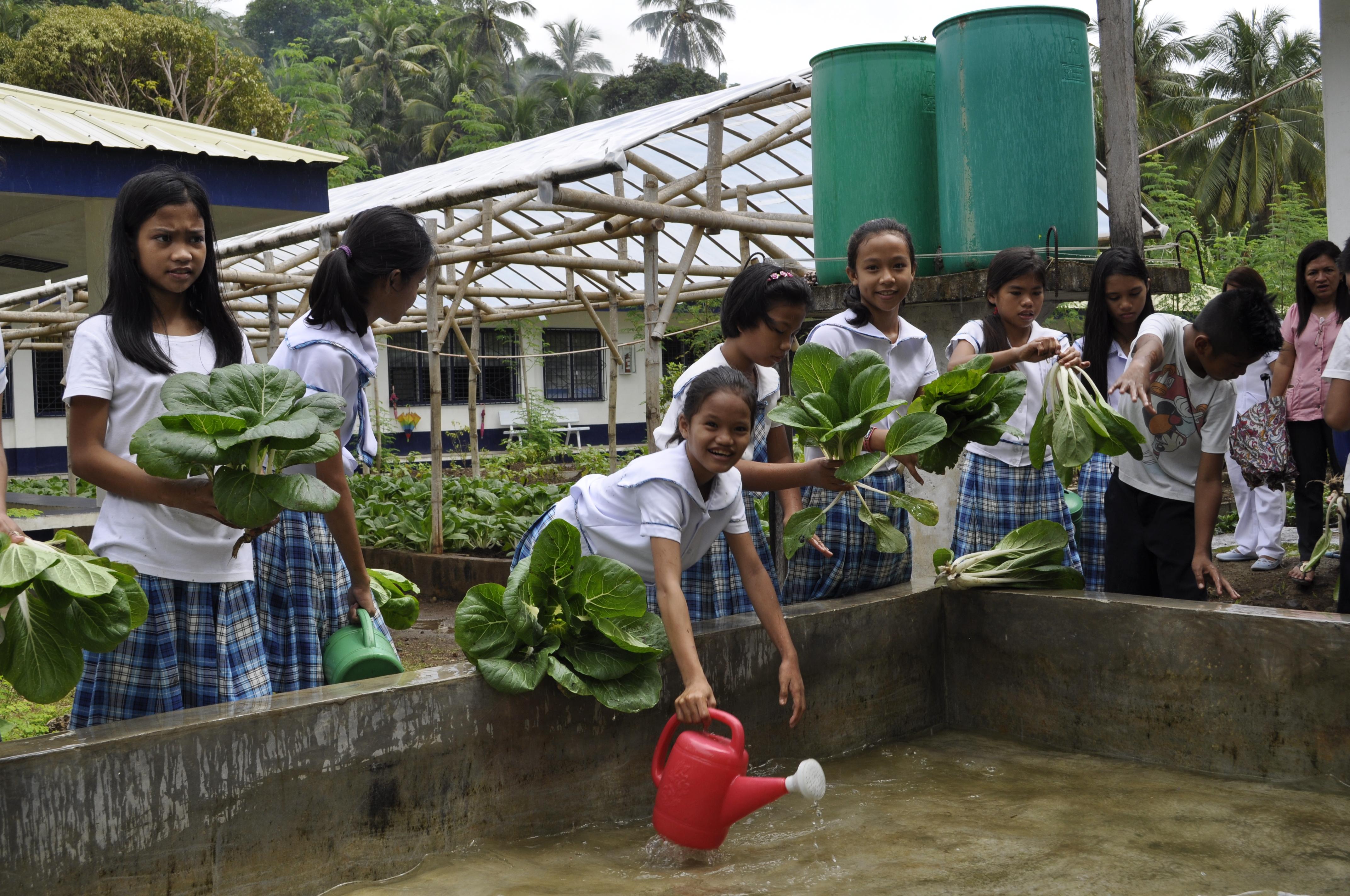 Biologischer Schulgarten Philippinen
