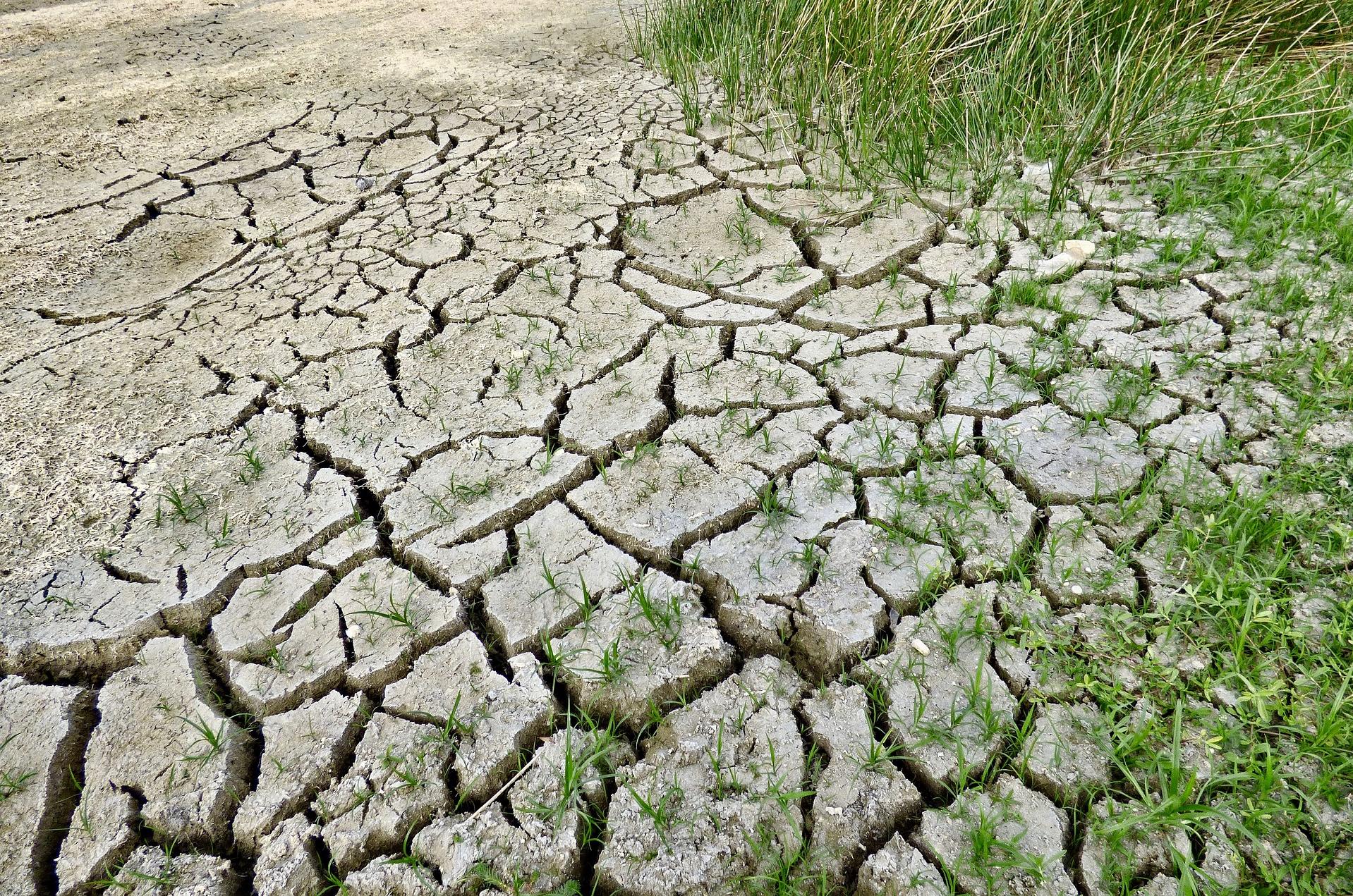 Dürre als Auswirkung der Klimaerwärmung