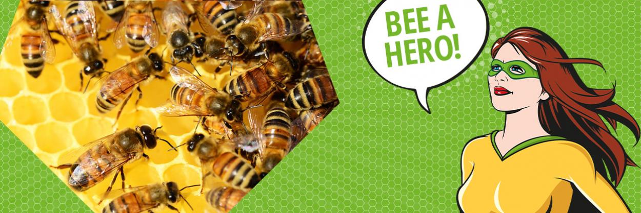 Rette die Bienen - rette unsere Zukunft