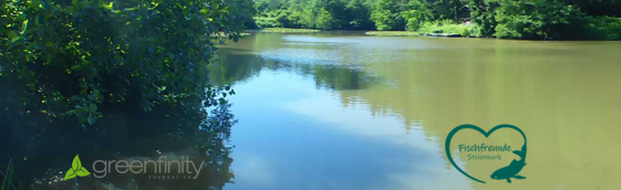 Lebensraum Teich – eine Greenfinity Naturoase
