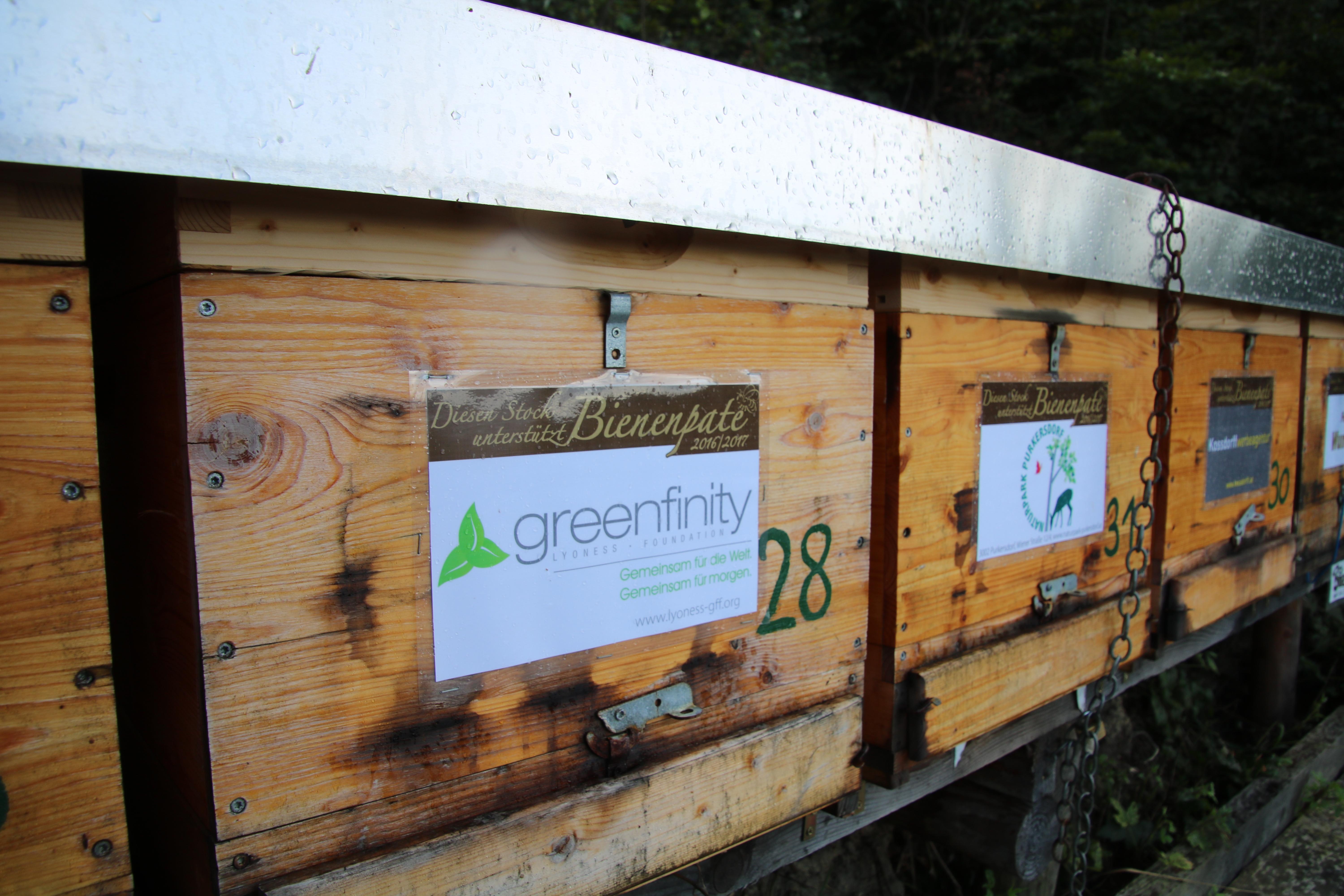Bienenstock der Greenfinity Foundation