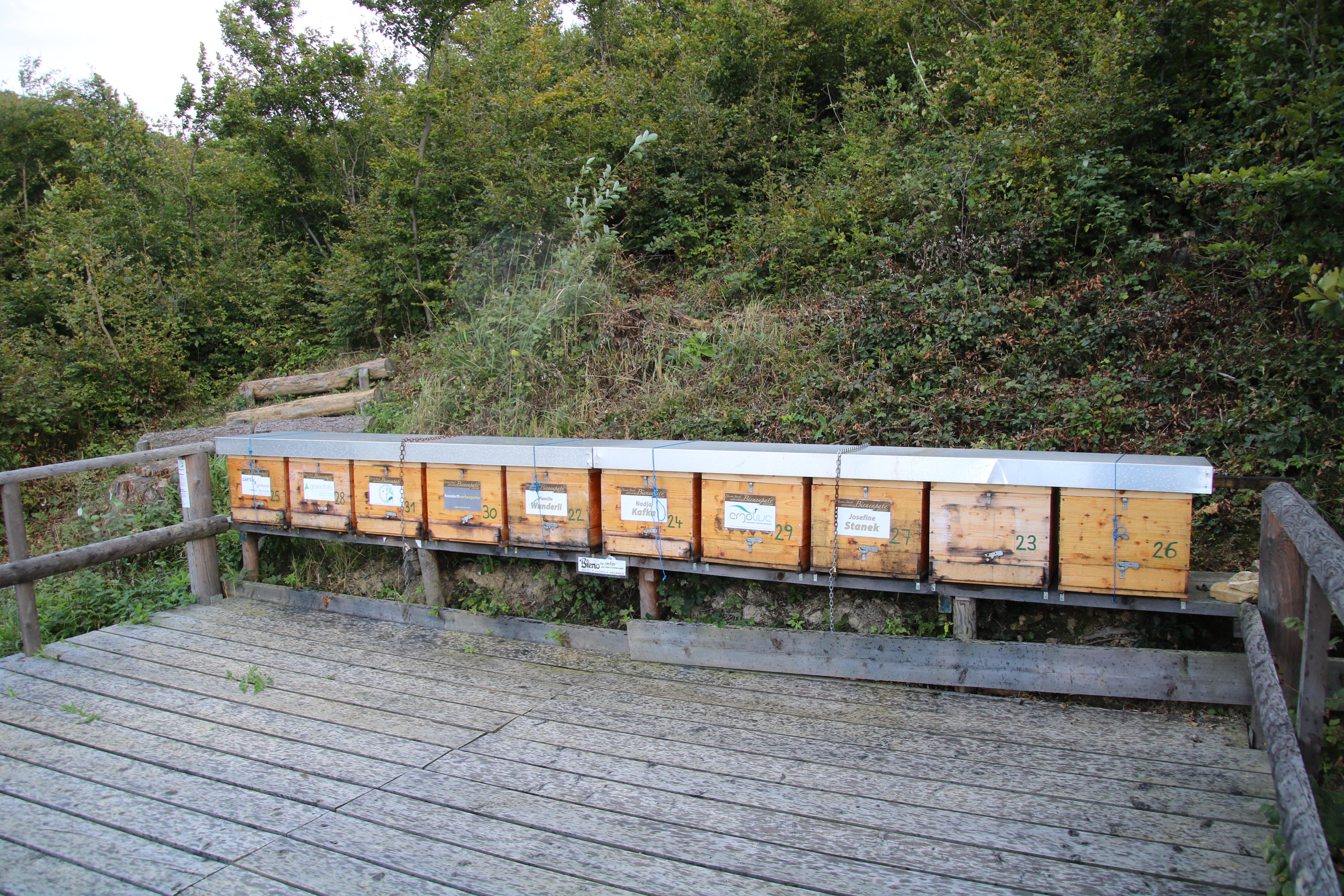 Greenfinity beehives at the Naturpark Purkersdorf
