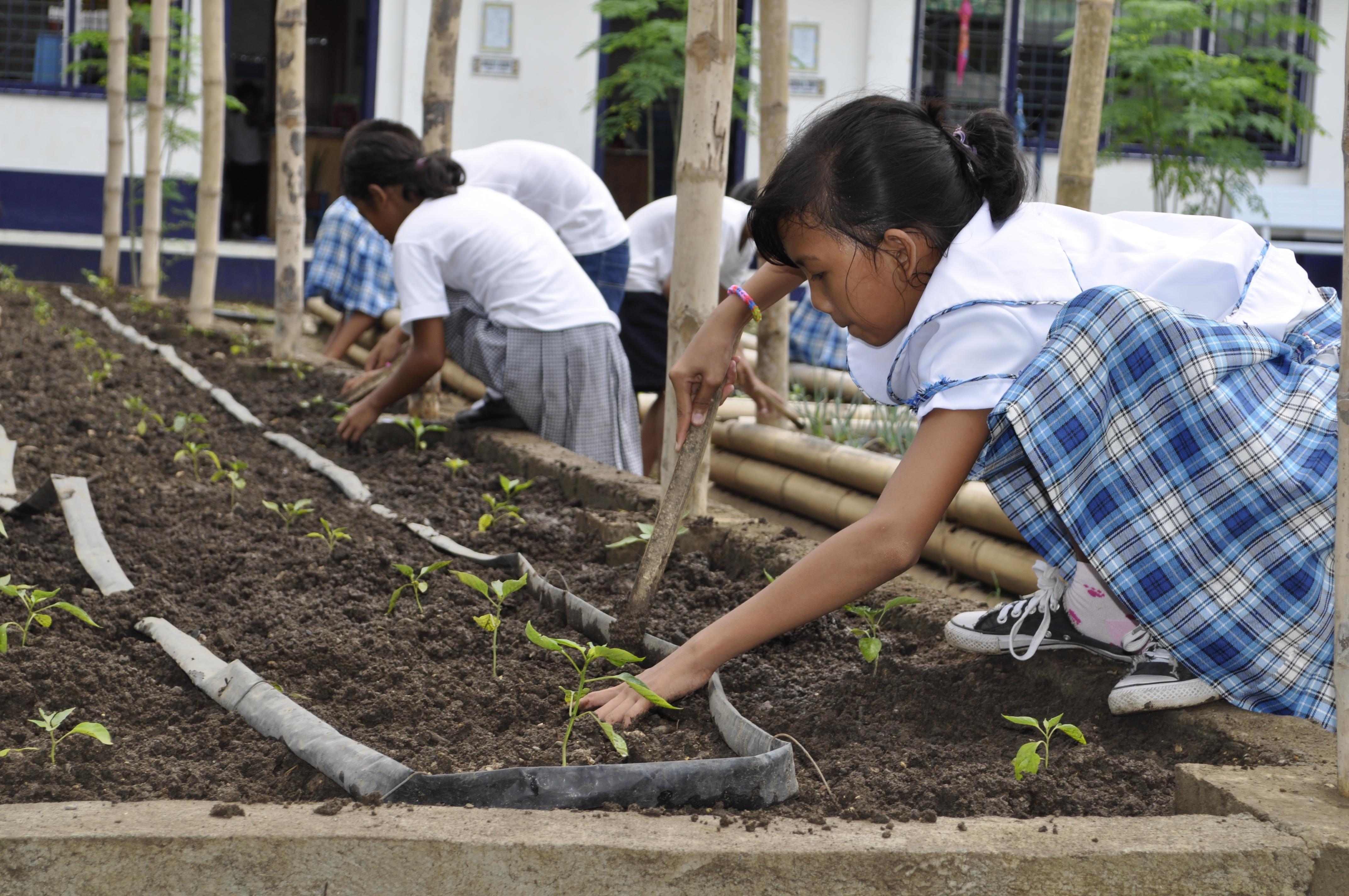 Ökologischer Schulgarten als Entwicklungshilfe auf den Philippinen