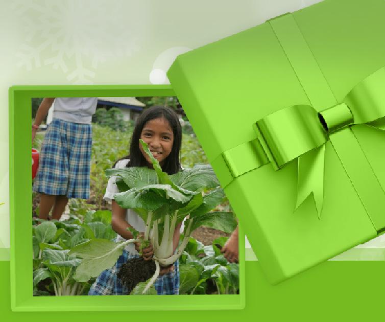 fight hunger - give an organic garden for this christmas
