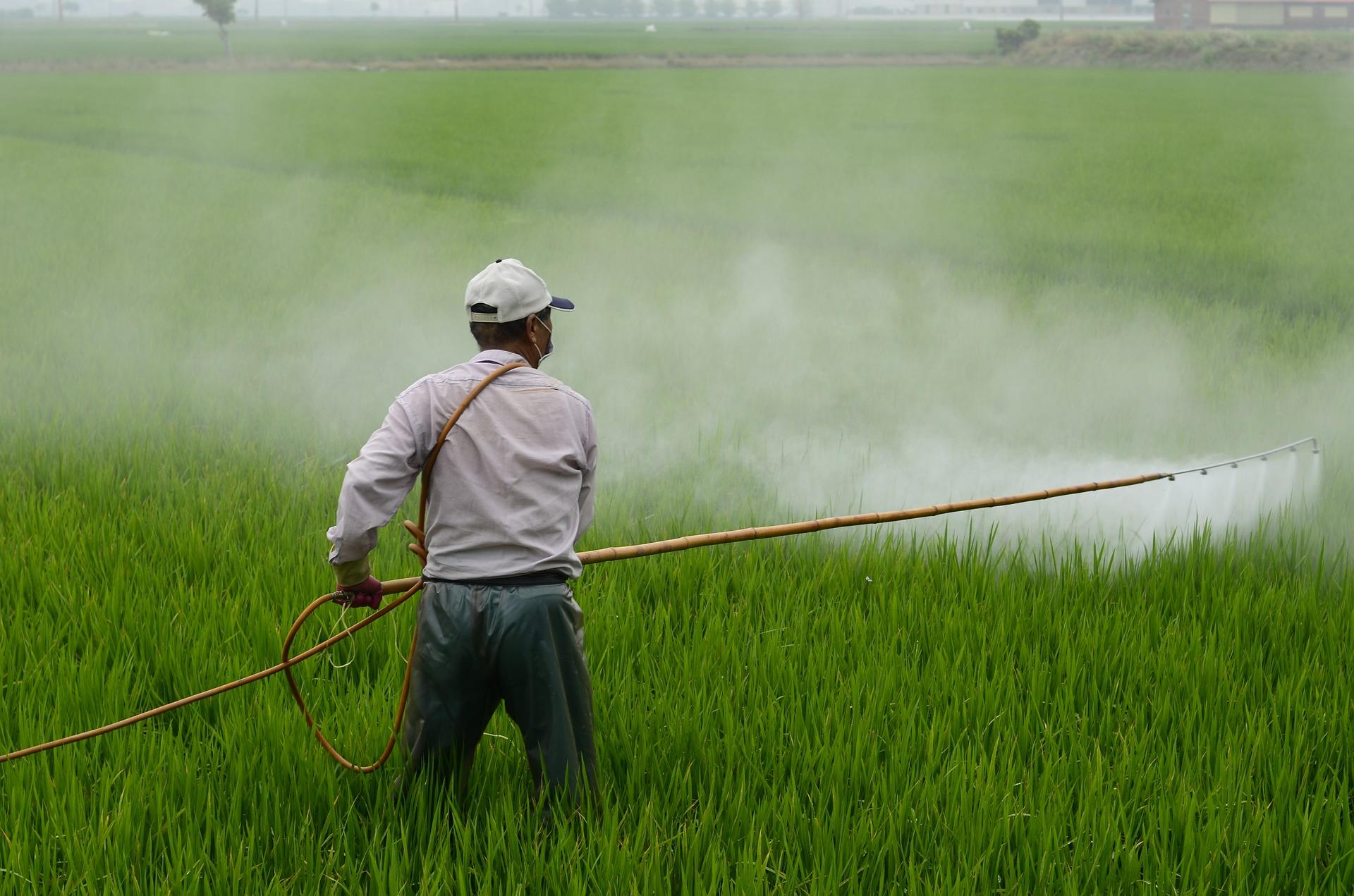 Pestizide verursachen Insektensterben