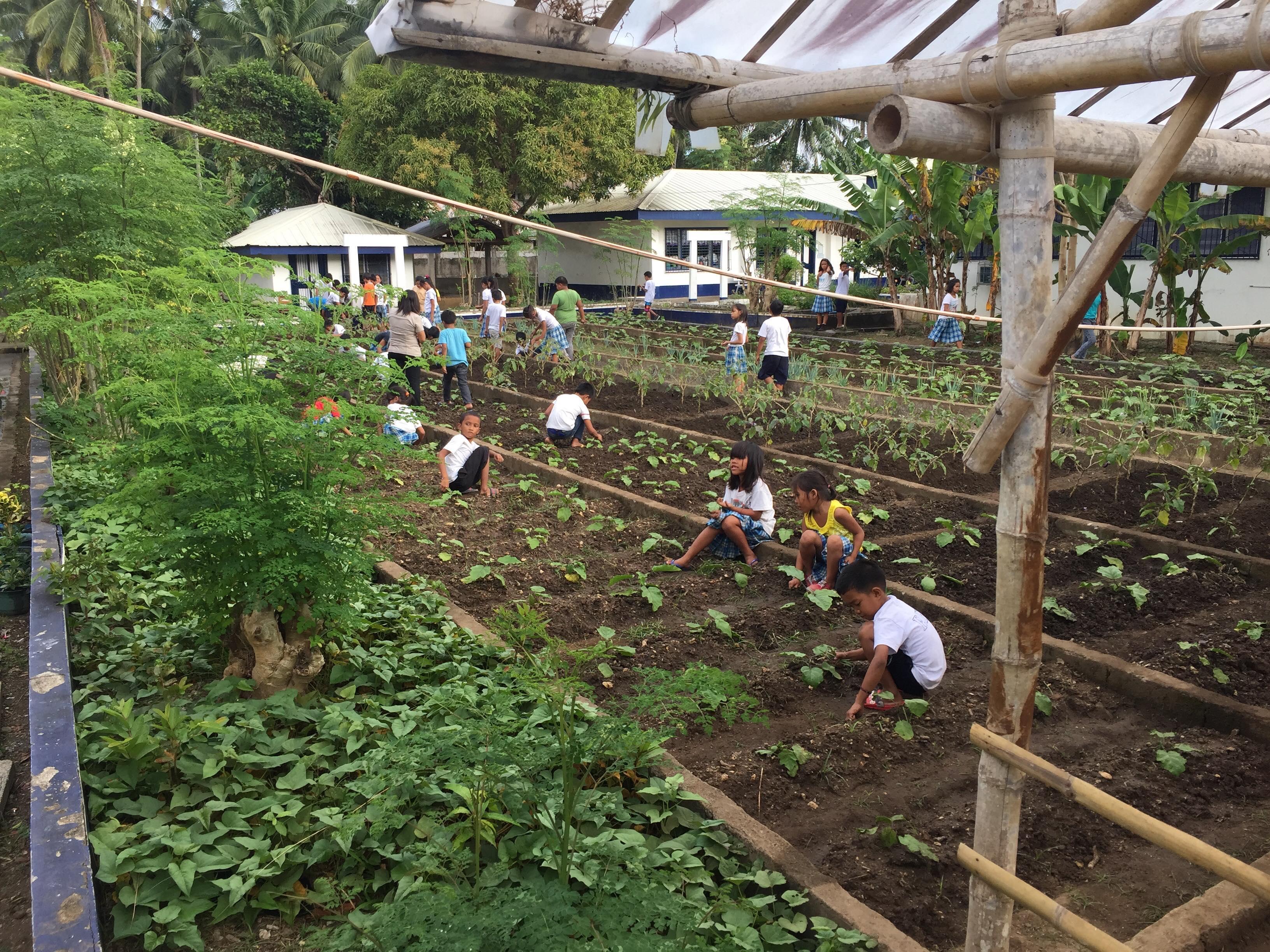 Schüler legen den biologischen Schulgarten auf den Philippinen an