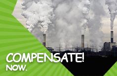 Compensate your Carbon Footprint now
