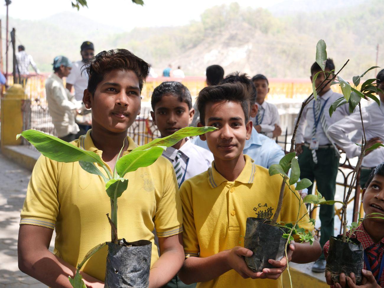 reforestation in India