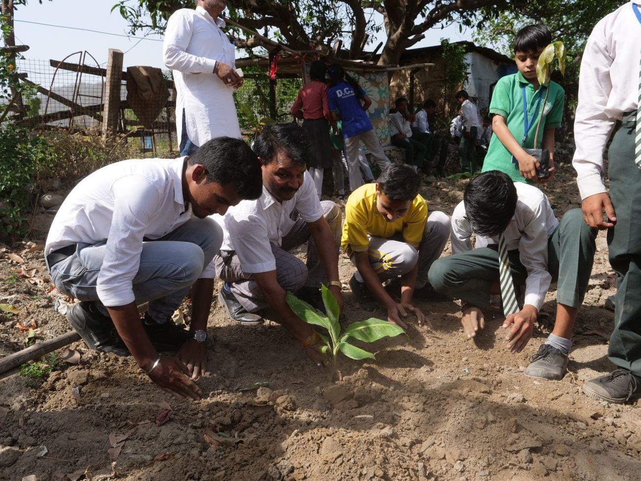 reforestation as part of the environmental education in india