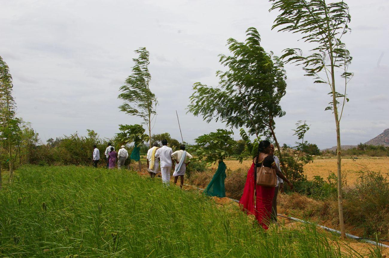 Unterstützung für Landwirte in Madanapalle, Indien