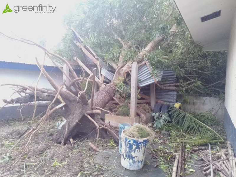 Biological school garden project_destruction after super typhoon Rai