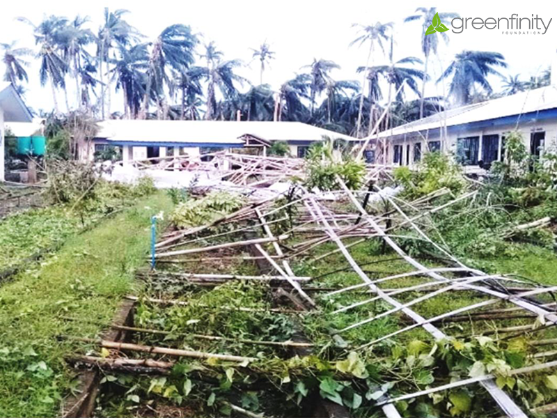 Biological school garden project_destruction after super typhoon Rai