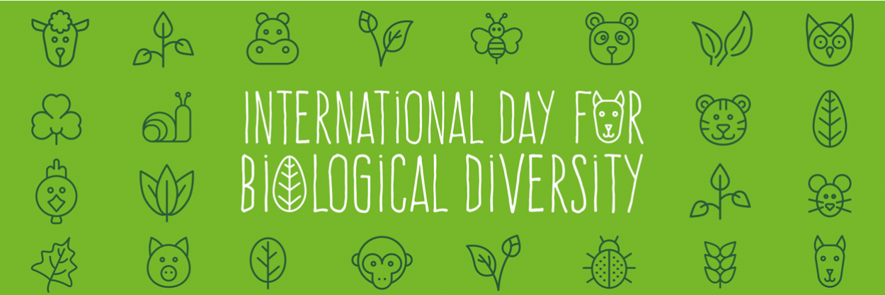 International day for biological diversity