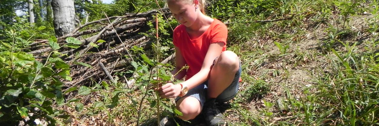 Reforestation school-project at the "generations’ forest" in the Naturepark Purkersdorf