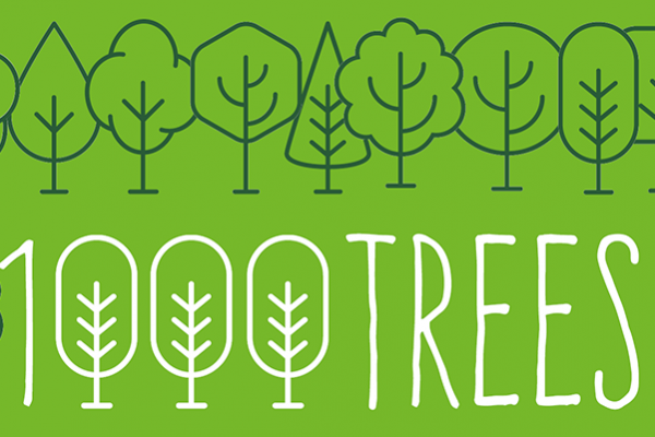 Planting trees for carbon emission compensation