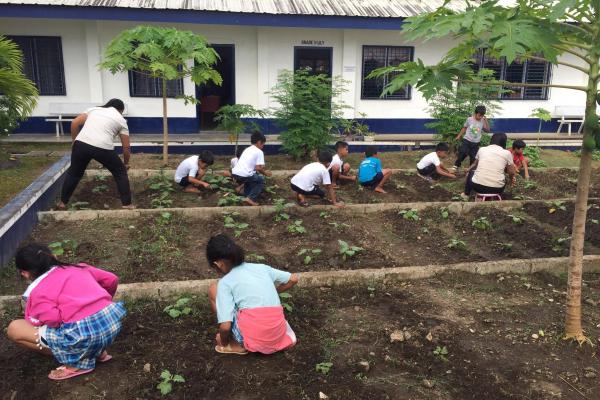 Gartenarbeit als Schulfach