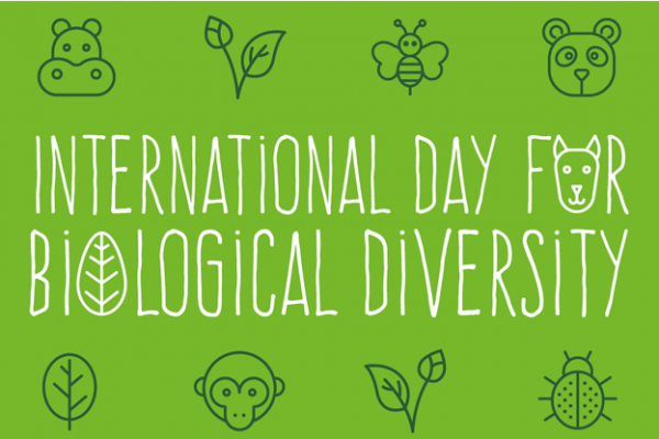International day for biological diversity