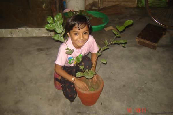 A reforestation campaign at the 'Dhara Children Academy'