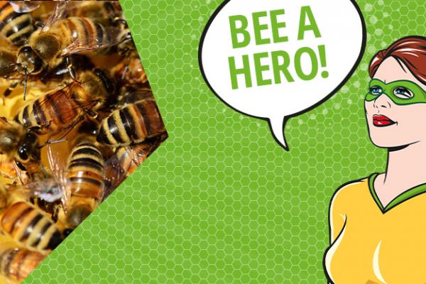 Rette die Bienen - rette unsere Zukunft