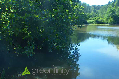 Habitat pond - A Greenfinity natural oasis