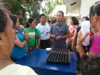 Gartenbau-Workshop an der San Roque Elementary School